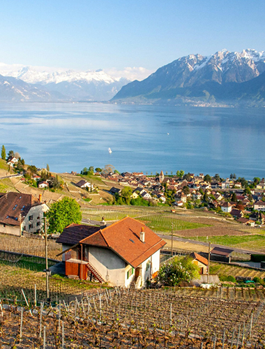 Villages & Townships