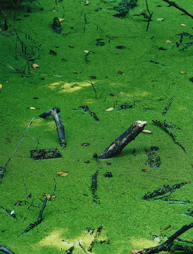 Existing Septic System Upgrades