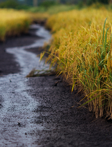 Seasonal or Rural Properties