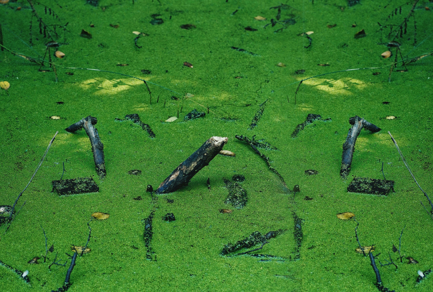 Existing Septic System Upgrades