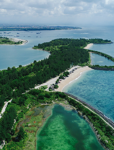 Scenic Area Eco-Treatment